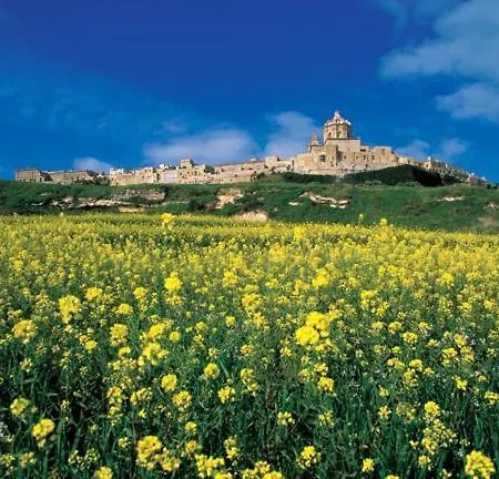 בית נופש Traditional Maltese Townhouse Wt Terrace And Pool